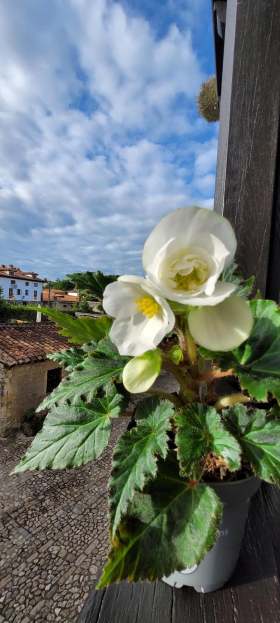 Apartamento Casa Del Lavadero Santillana del Mar Exterior foto